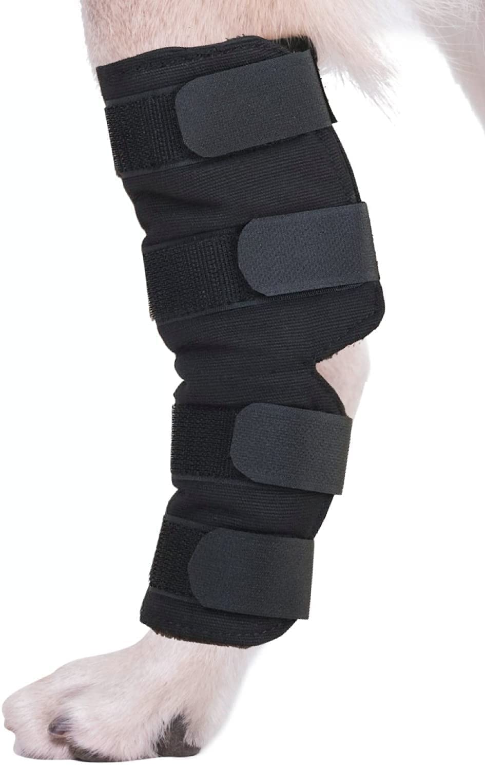 YL traVYL traV Rear Leg Joint Wrap Protects Wounds as They Heal, Compression Wrap, Heals and Prevents Injuries and Sprains Helps with Loss of Stability Caused by Arthritis (Medium)