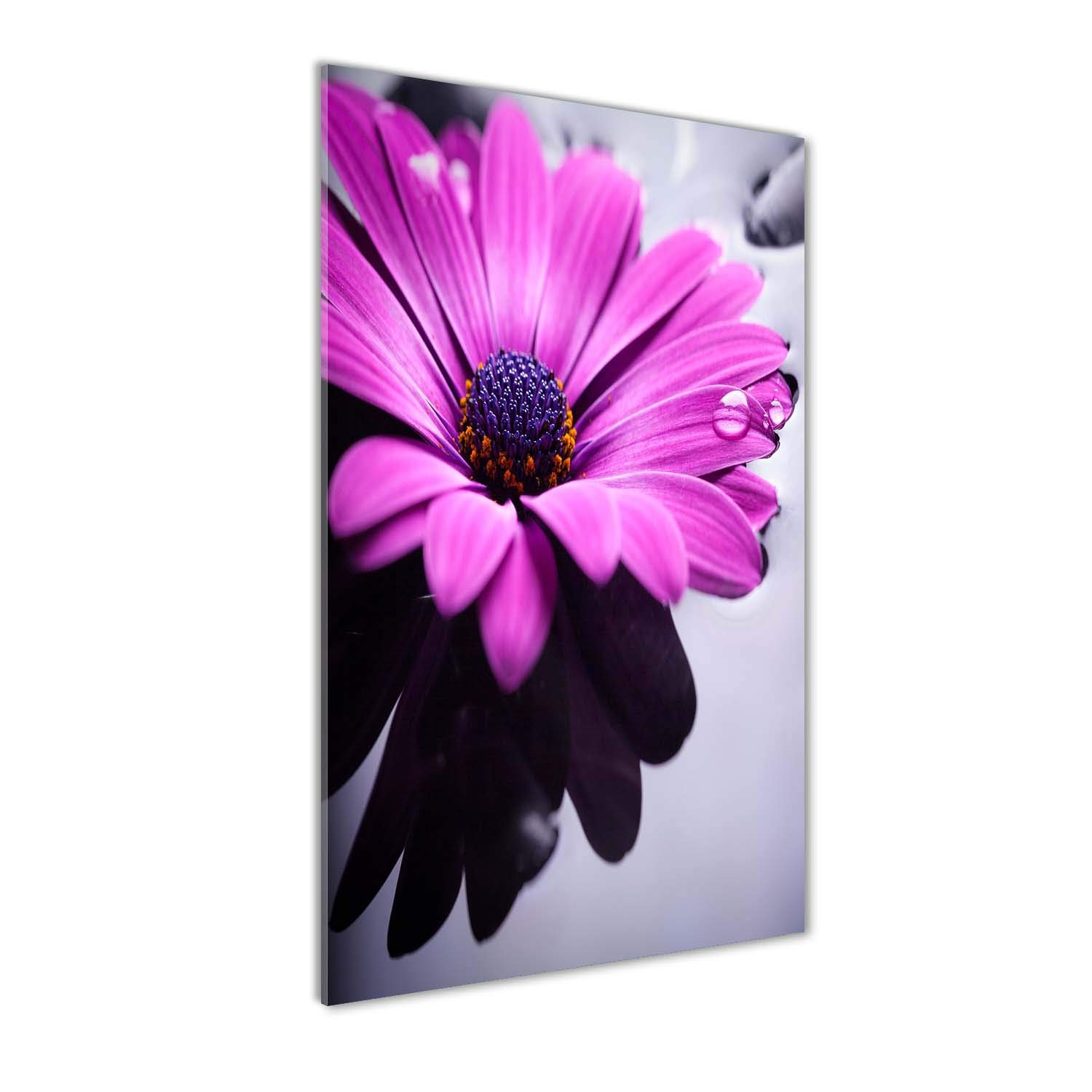 Tableau panoramique fleurs gerbera rose 50x100 cm pour illuminer un salon sombre