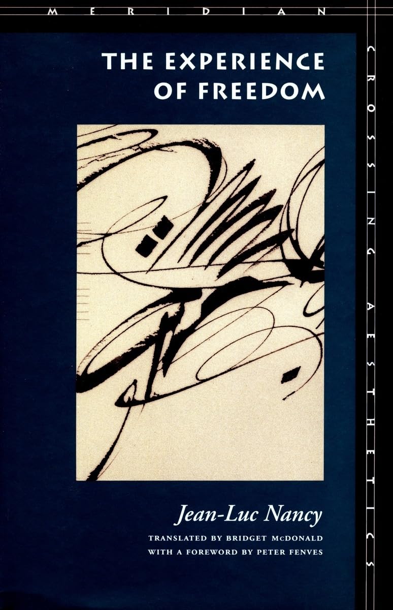 The Experience of Freedom (Meridian: Crossing Aesthetics)