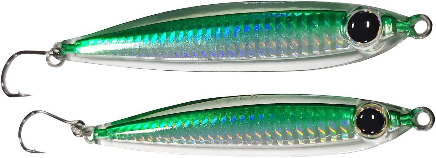 Kmucutie 5 Pieces Epoxy Resin Fishing Jig Lure Great for Inshore and Offshore Game Fish,Artificial Lures for Grouper,Dogtooth,Bass Salmon