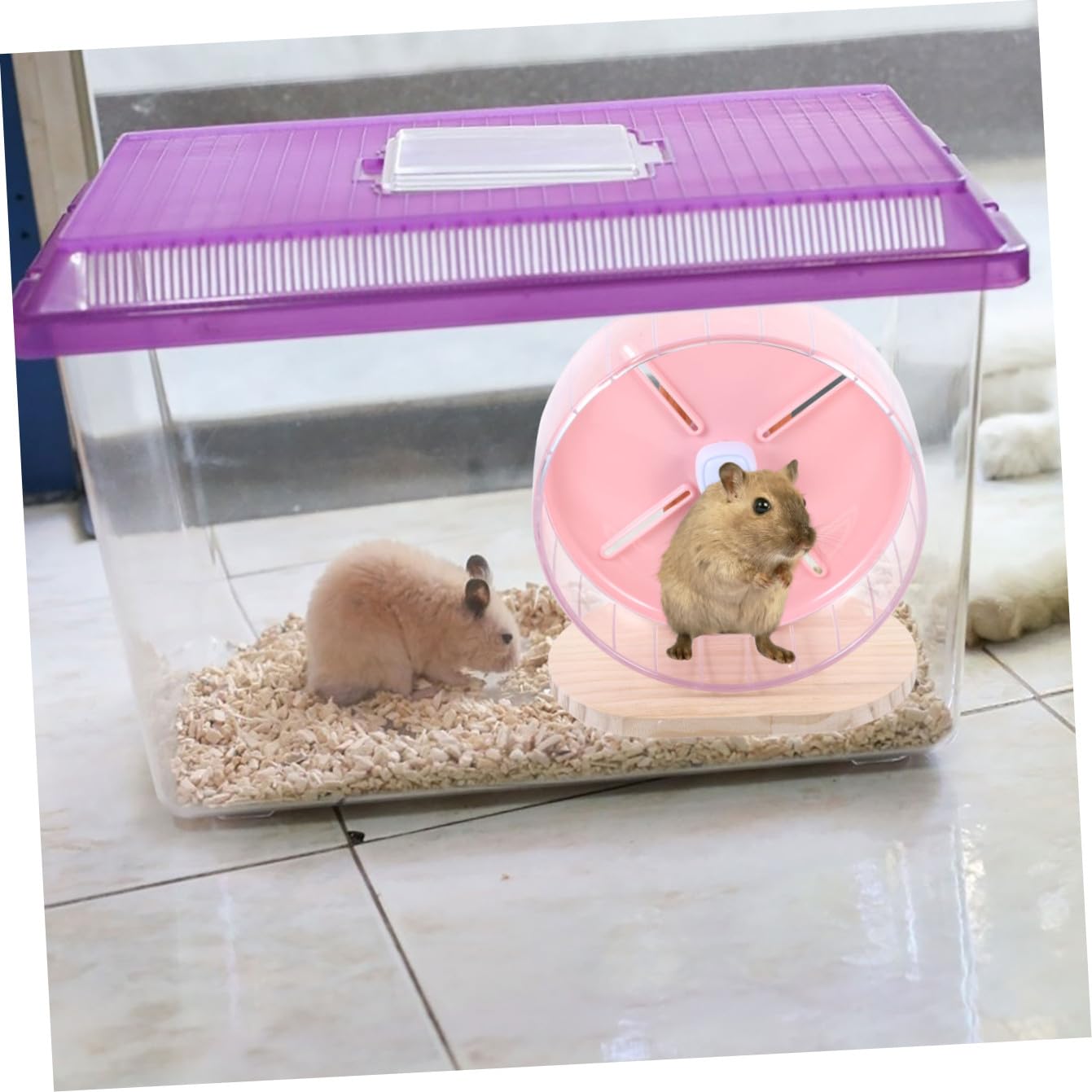 COLLBATH Ruota da Corsa Silenziosa per Criceti Base Stabile, Giocattolo Antistress in Abs e Legno, Dimensioni 20cm, per Piccoli Animali Domestici
