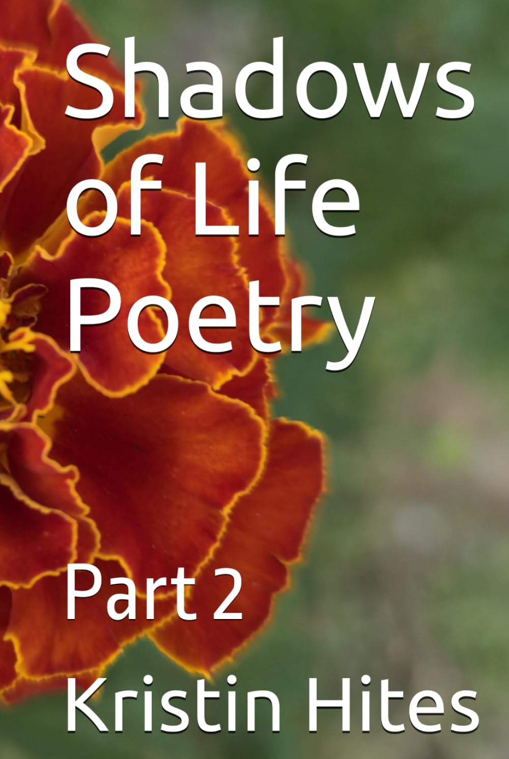 Shadows of Life Poetry: Part 2 (Shadows of Life Poetry Collection)