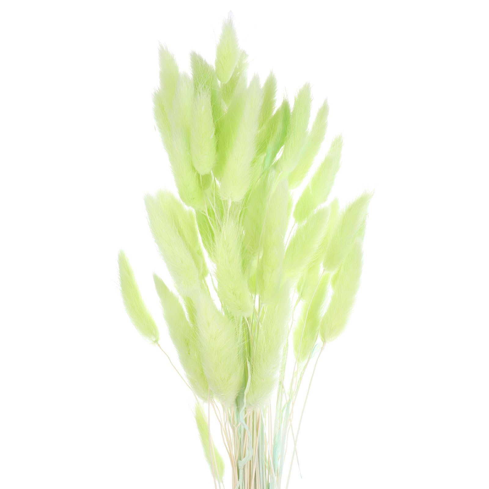 QUARKZMAN 60Pcs Queue de Lapin Naturelle Fleurs Séchées 60cm Vert Émeraude | Mini Herbe de Pampa Lagurus Ovatus, Bouquet pour Décoration Florale Mariage Noël