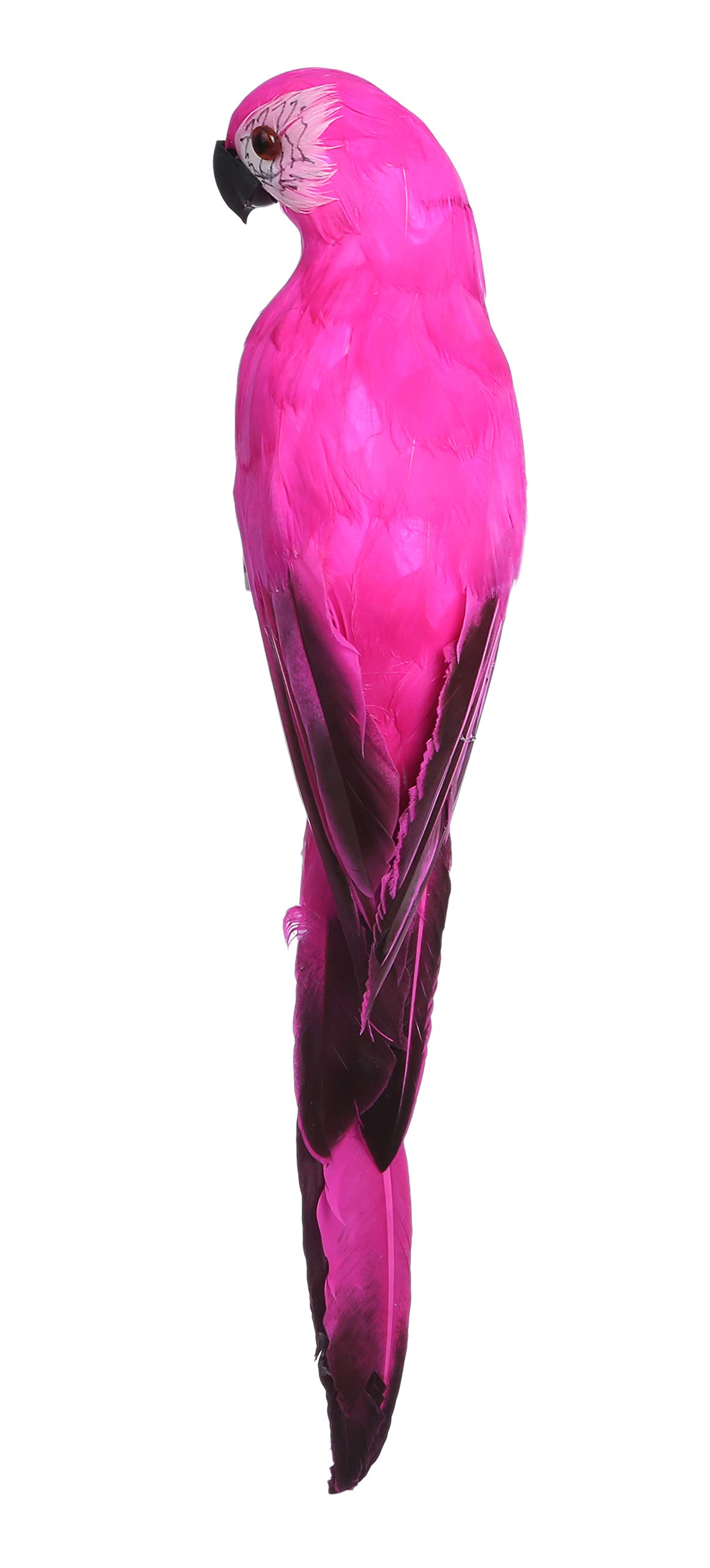 激レア付　　鳥の置物 Amazon.co.jp: St.espoir リアル 鳥のオブジェ インテリアの