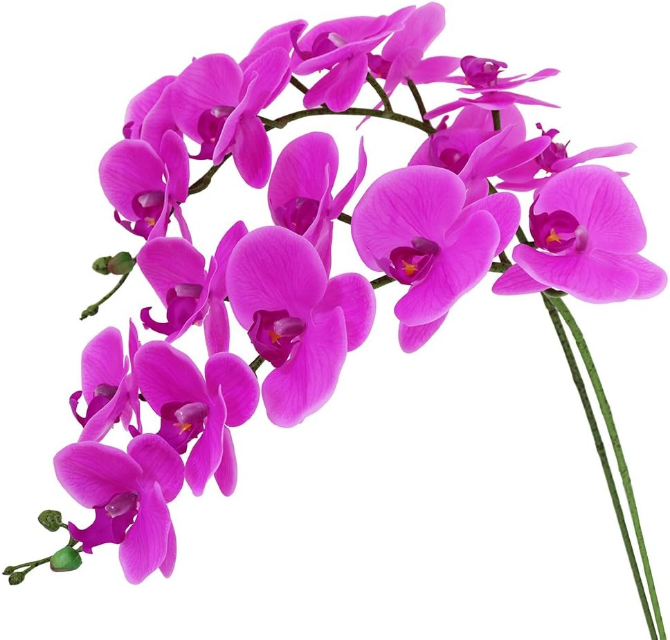 Htmeing 38 Inch Artificial Phalaenopsis Flowers Branches Real Touch (Not Silk) Orchids Flowers for Home Office Wedding Decoration,Pack of 2 (Rose red)