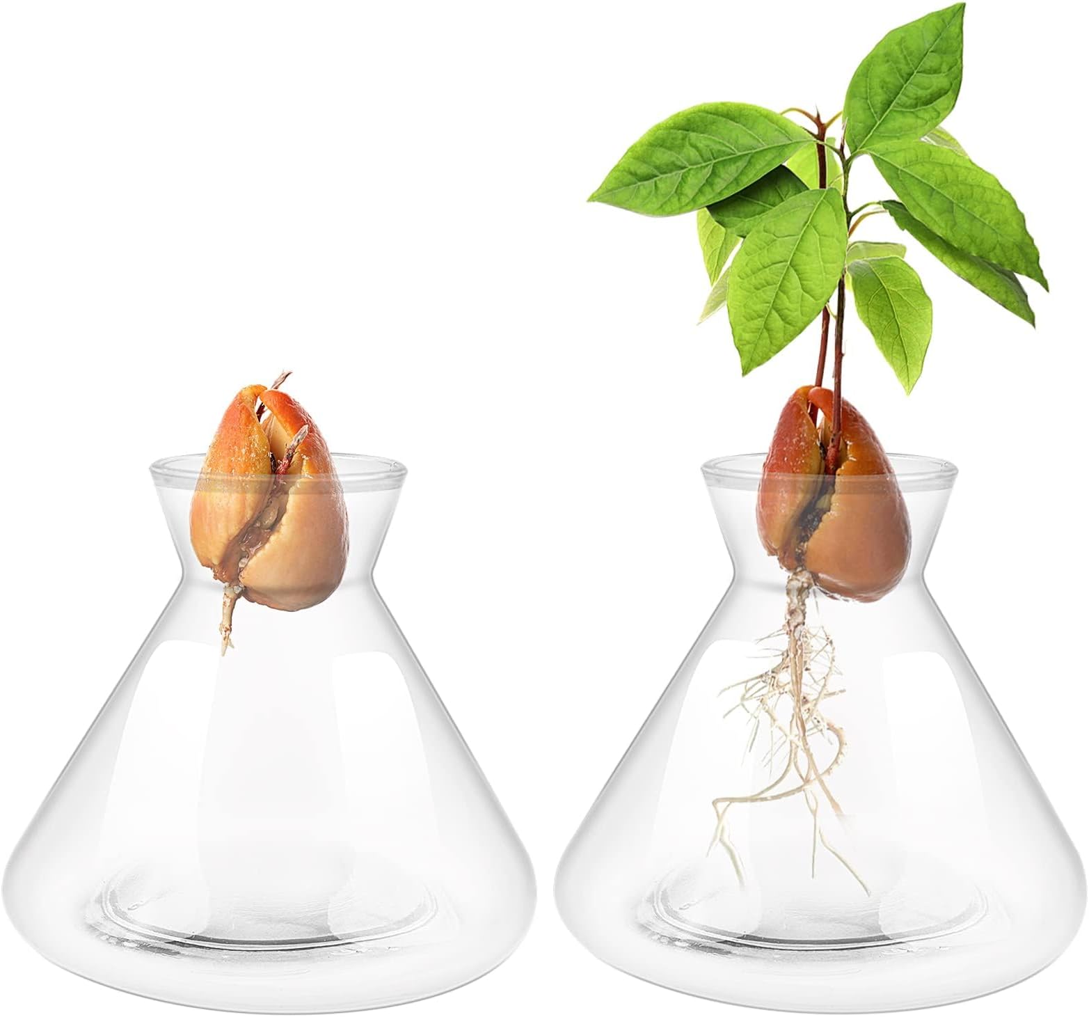 Jaffiust 2 PCS Avocado Seed Starter Vases, Pit Planter Pot Avocado Tree Growing Kit Acorn Bulb Vase Grow Glass Blue Hydroponics Container for Gardening Lover
