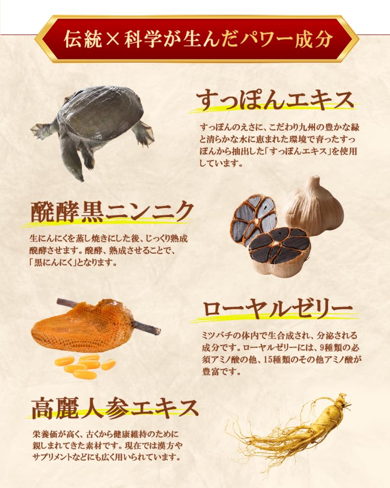 Amazon | 誠心製薬 セイシンV ゼリー 20g×5本｜すっぽん
