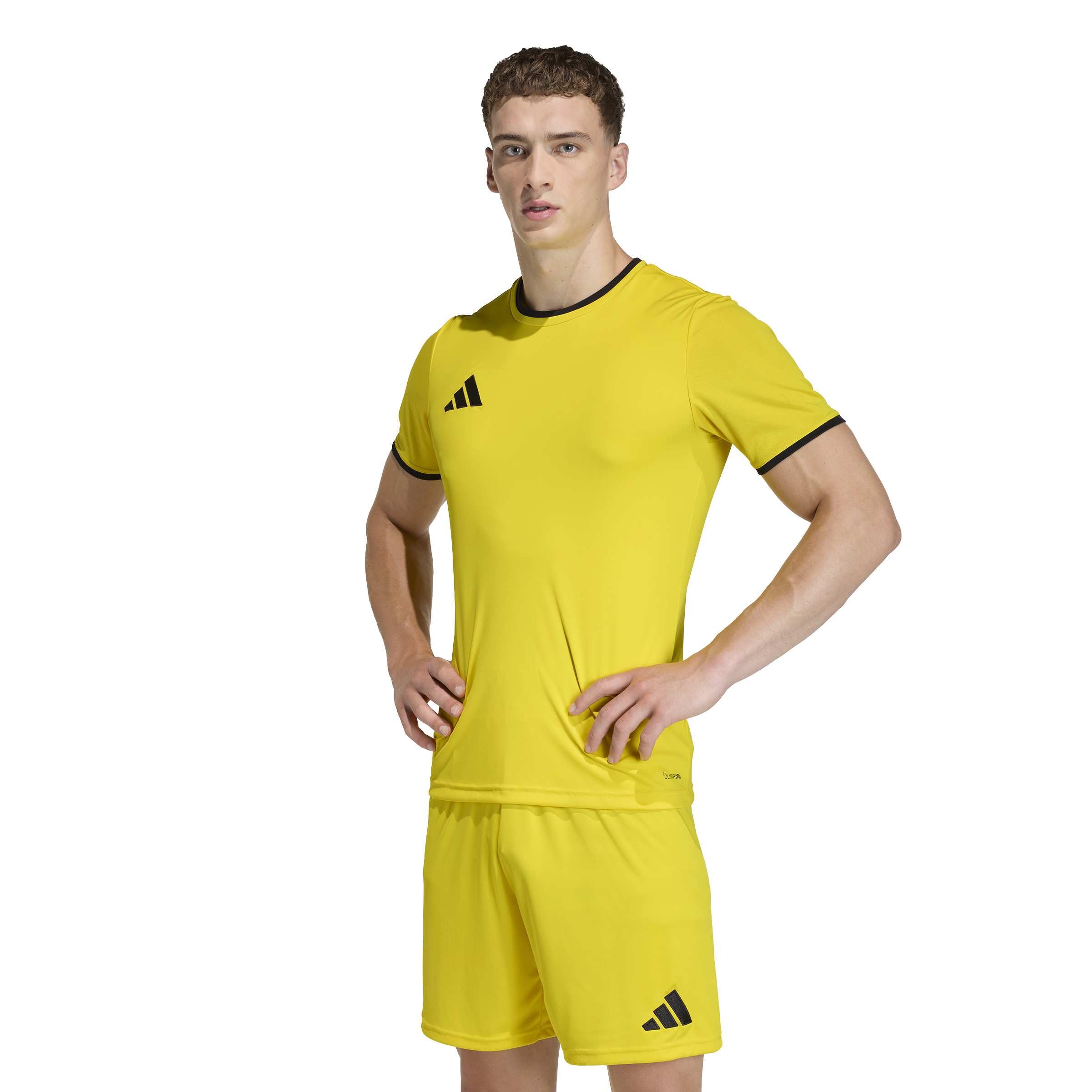 Men's Entrada 26 Jersey