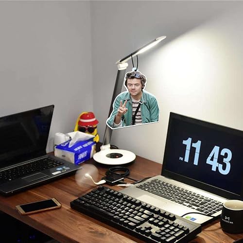 Miniatura 3 de Harry Air Styles Freshener Pendant Fans Gift Car RearviewMirror Pendant for Supplie Interior Accessories Air Freshener B