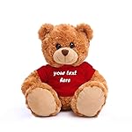 Plushland Teddy Bear 11 Inch, Stuffed Animal Personalized Gift - Great Present for Mothers Day, Valentine Day, Graduation, Birthday,Anniversary, get Well,Christmas (Mocha Bear, red)