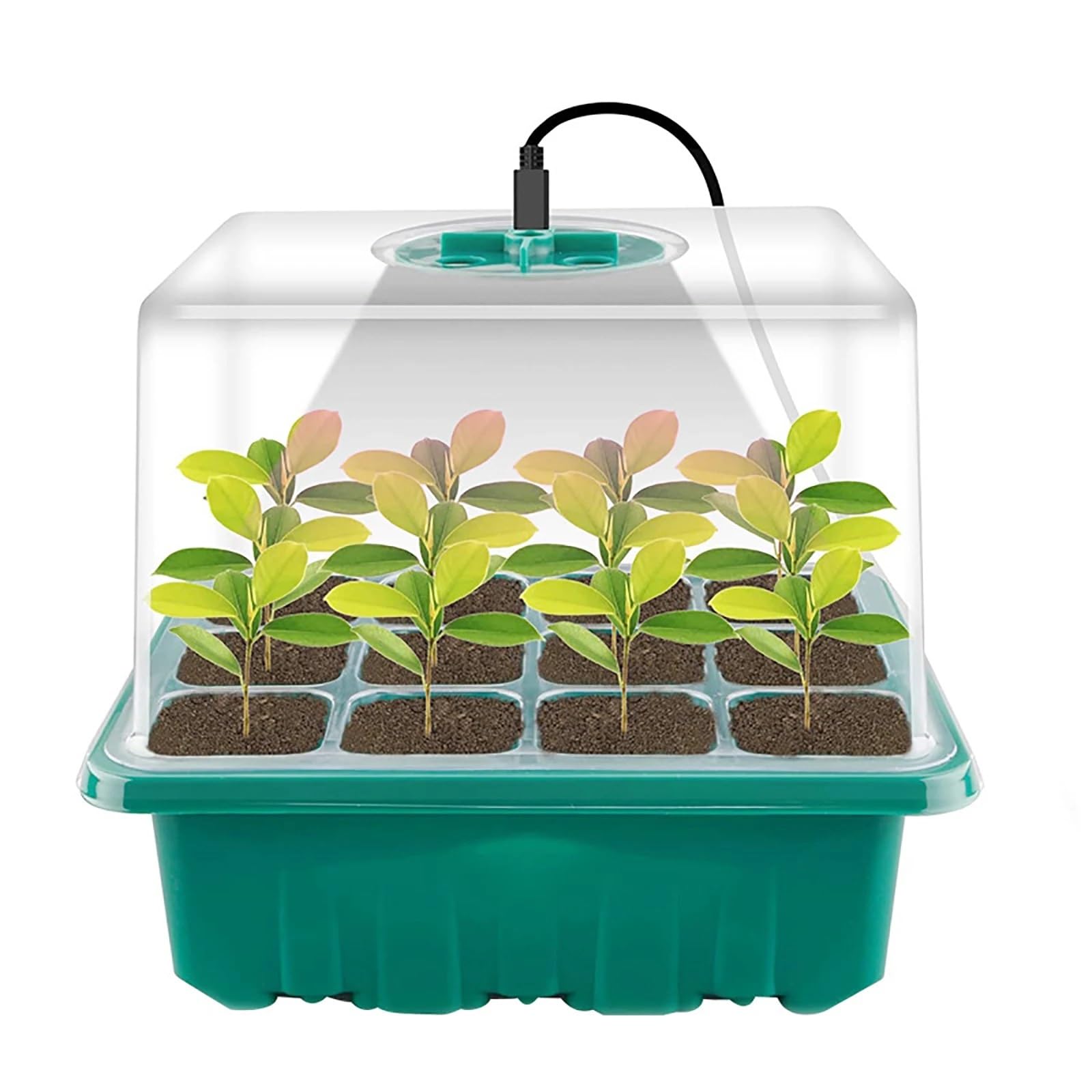 Anzuchtschale Grow Light 6/12 Löcher Samen-Starterschalen Pflanzkasten Sämling Keimung Indoor-Gartenwerkzeug für Pflanzen(Light Grey)