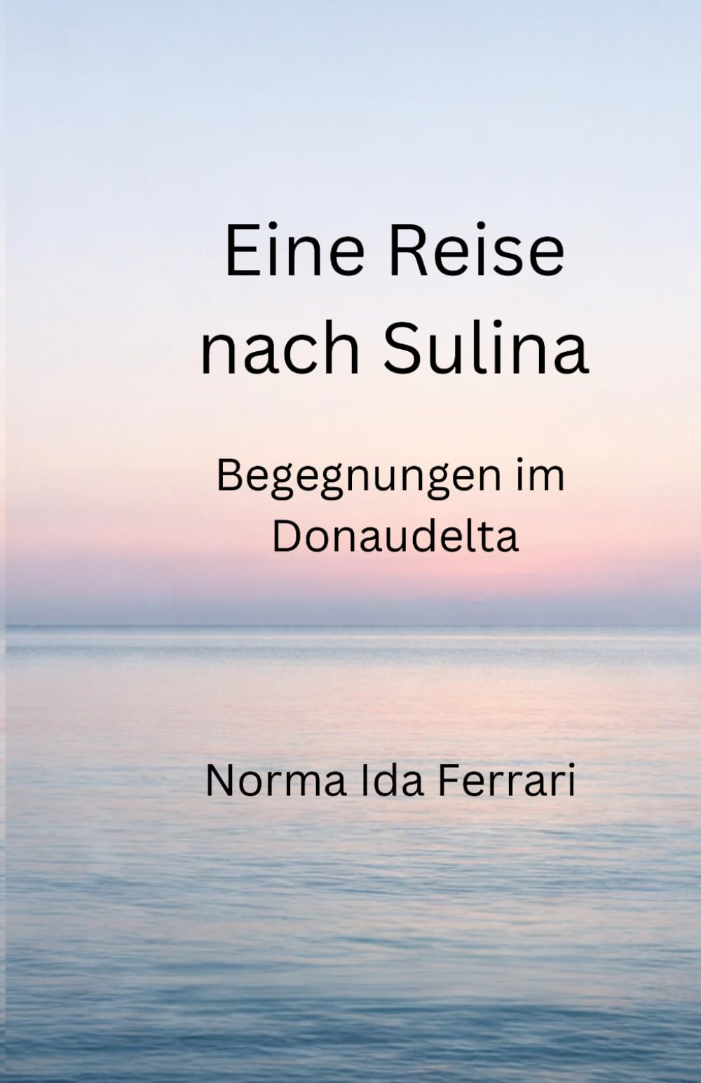 Rette die Mutter - Eine Reise nach Sulina -