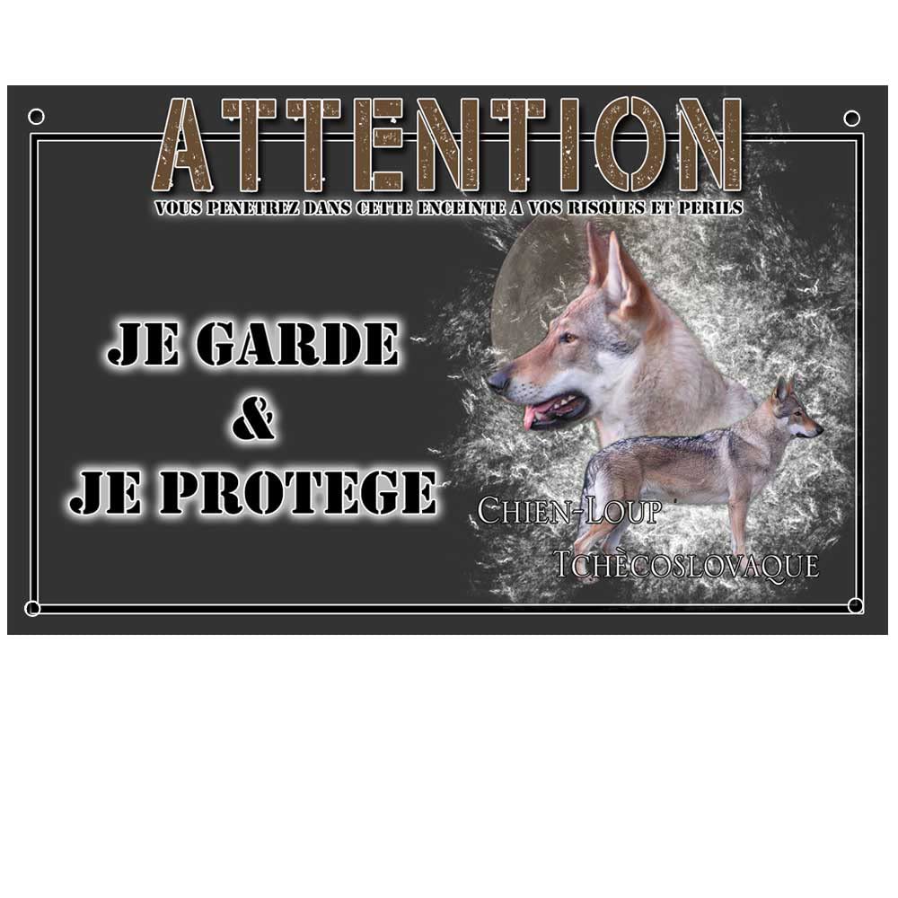 Chien Loup Tchécoslovaque: Tout Savoir Sur Cette Race