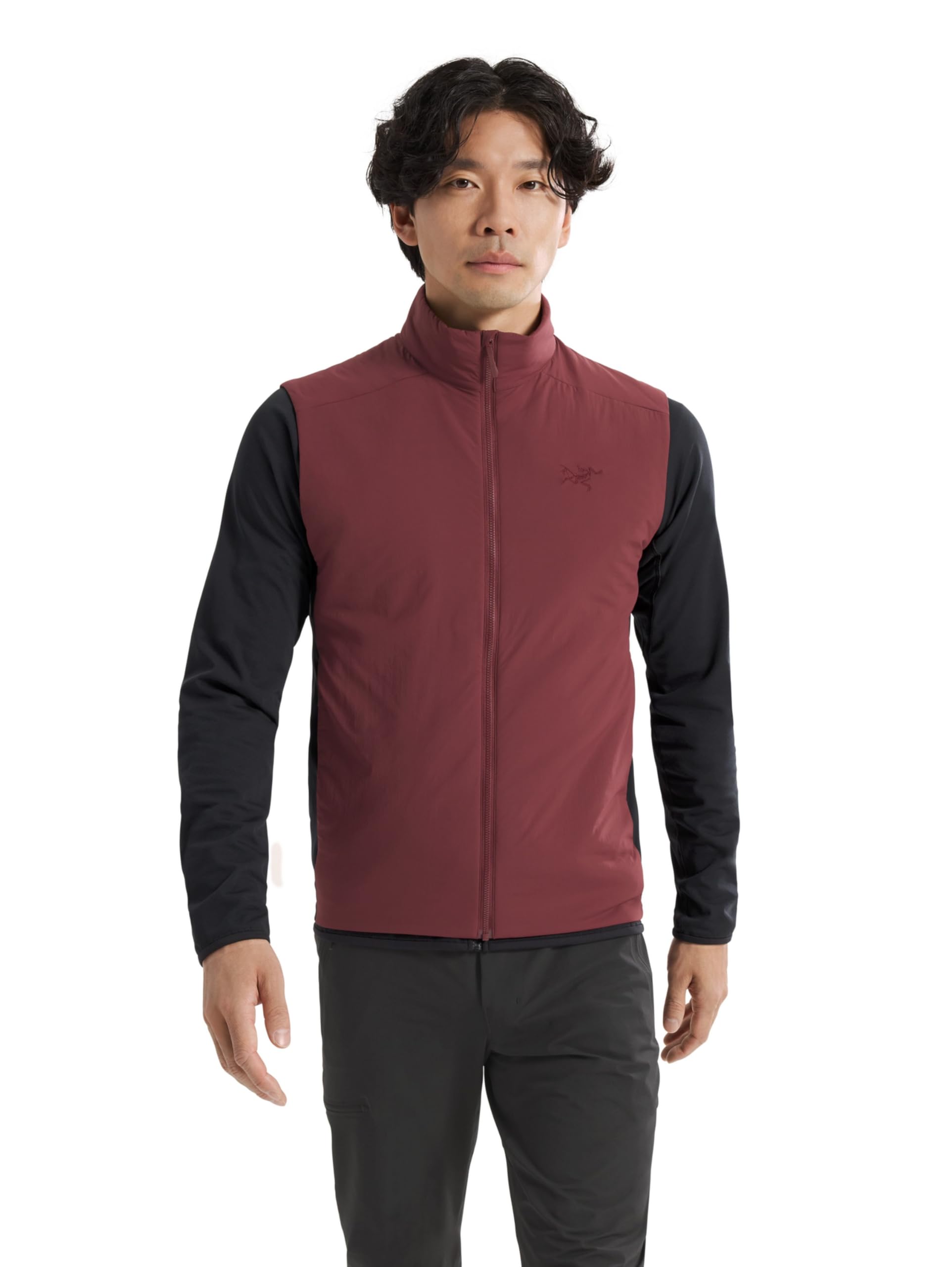 Arc'teryx mens Atom Vest