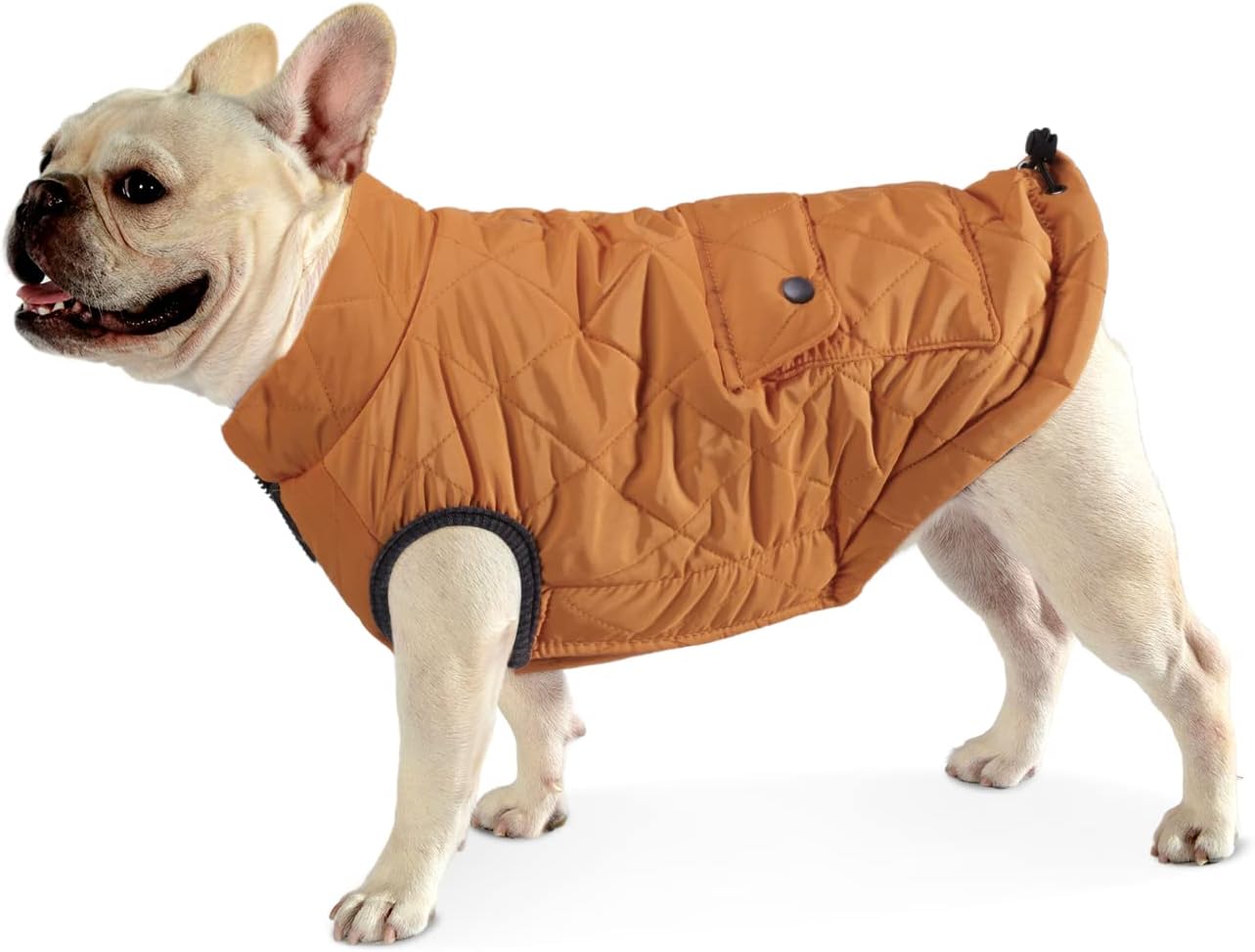 Small Dogs Coat Cozy Warm Pet Clothes Cute Puppy Jacket for Cold Weather Dog Apparel Comfortable Stylish Cotton Puppy Winter Coats…