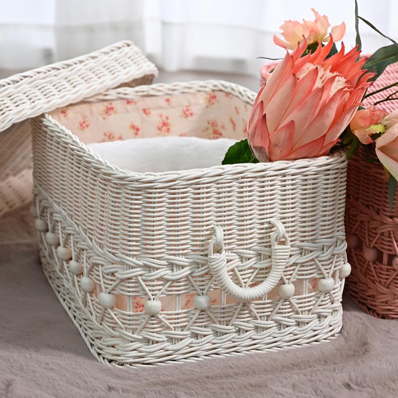藤のバスケット バスケット（basket）
