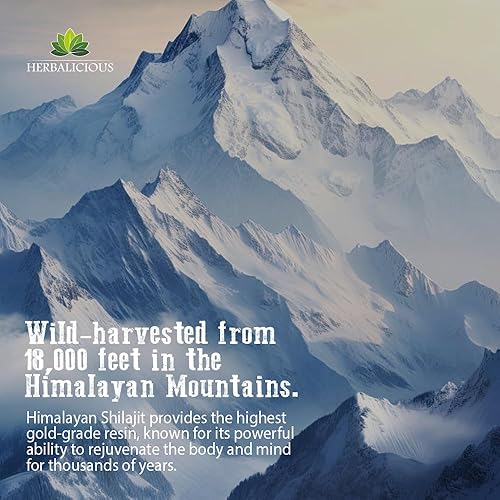 Miniatura 4 de Shilajit para hombres  Suplemento adaptogénico 8 en 1 con Ashwagandha, Cordyceps, Ginseng, Rhodiola, cúrcuma, Chaga y jengibre  Energía natural,