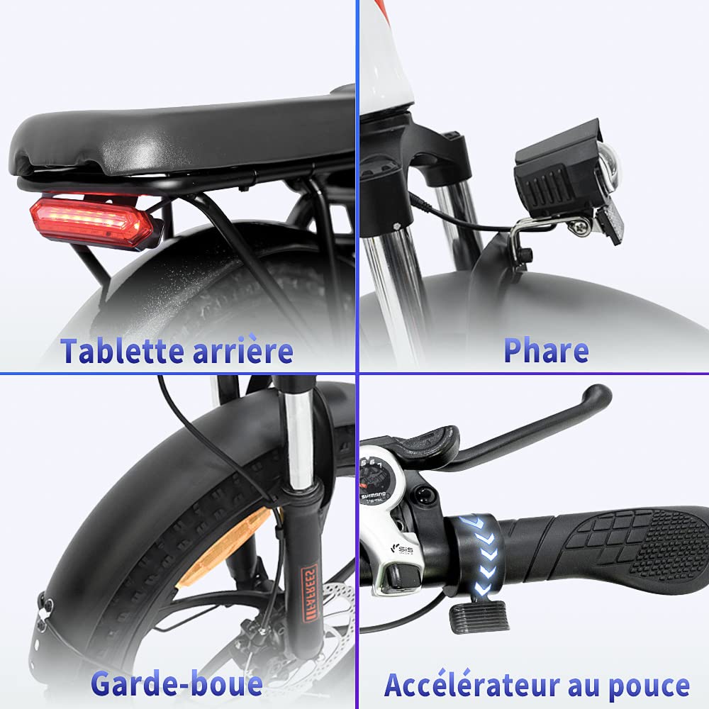 Fafrees F20 Vélo électrique Pliant 20 * 3.0 Pouces, VAE 250W Moteur, 36V 16Ah Batterie, Autonomie 60-130 km