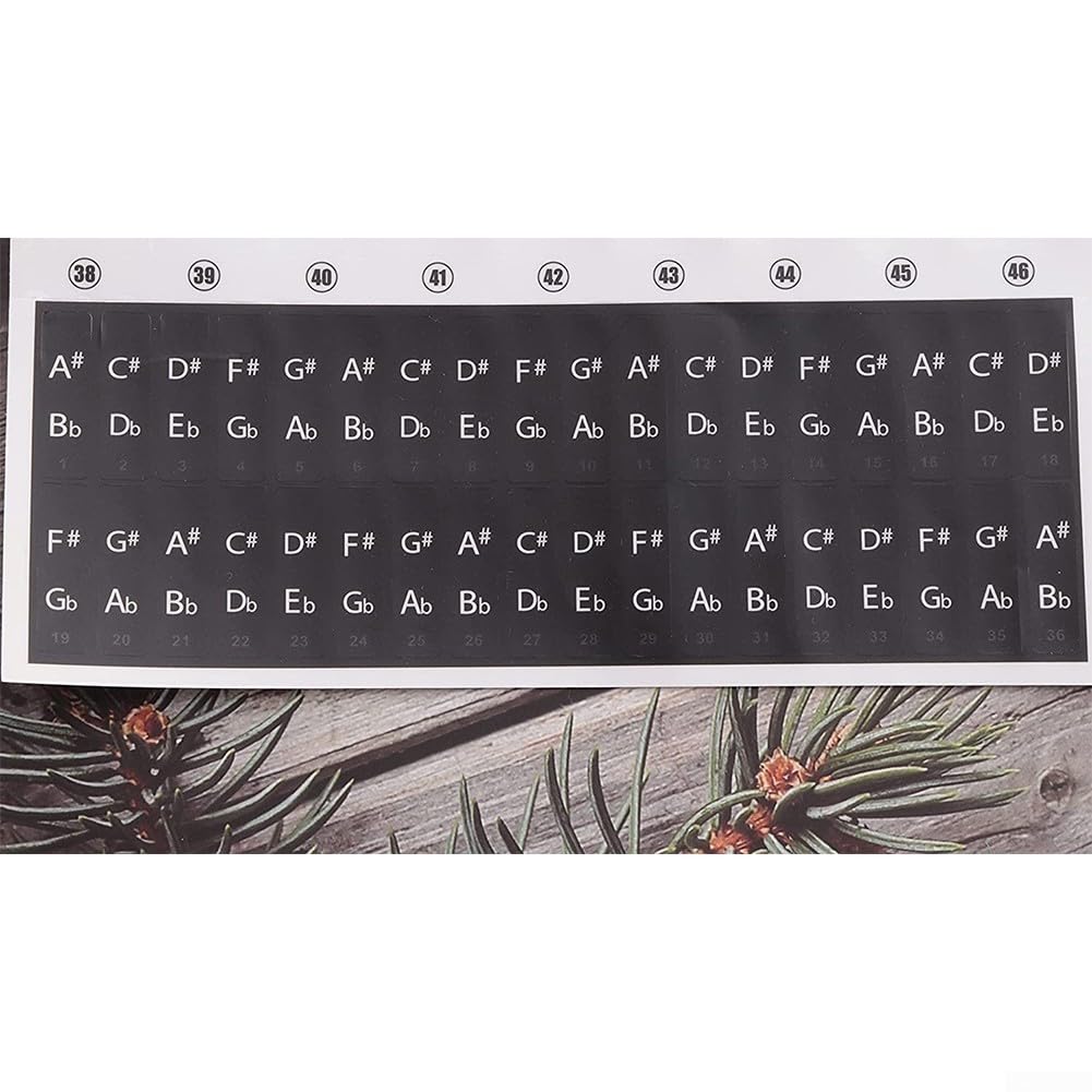 Autocollants pour clavier de piano avec 88/61/54/49/37 touches, faciles à enlever et à apprendre