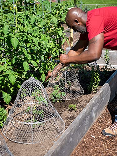 image for Gardener's Supply Company Sturdy Chicken Wire Cloche Plant Protector &