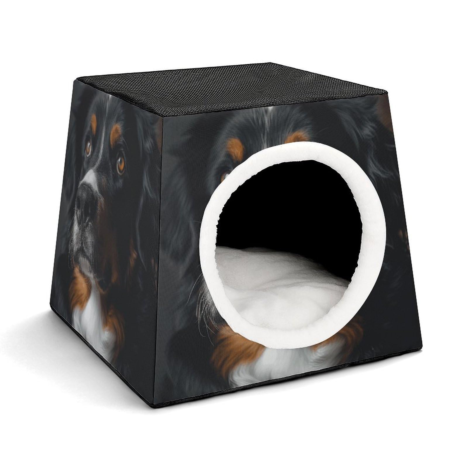 Cabane bernoise pour chat contre le froid maison chaude intérieure