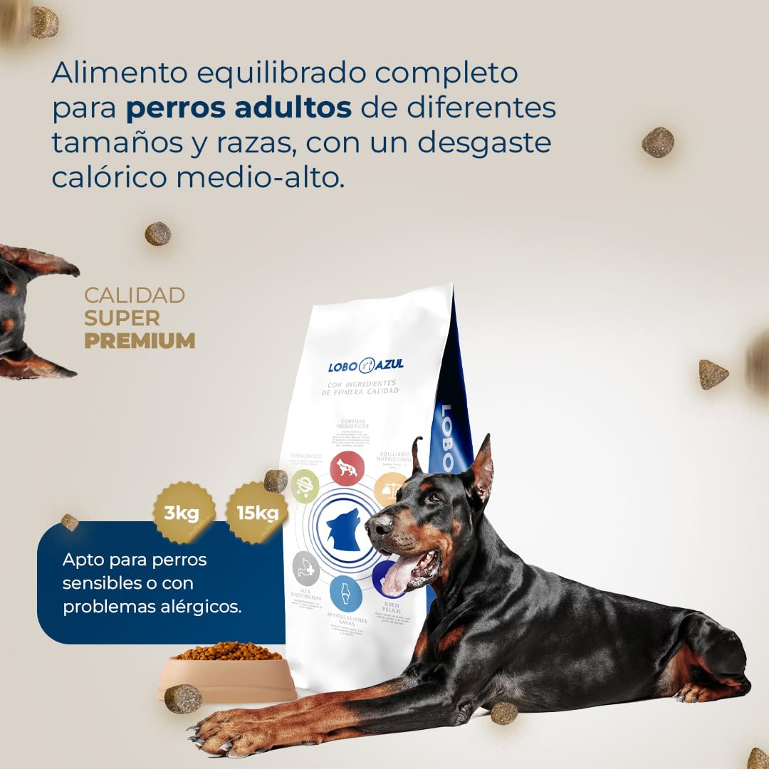 Pienso Super Premium Buey - Alimento para Perros Adultos con Buey, Pollo, Salmón, Atún y Aceite de Salmón - Natural - Sin Gluten - Actividad Alta - Lobo Azul