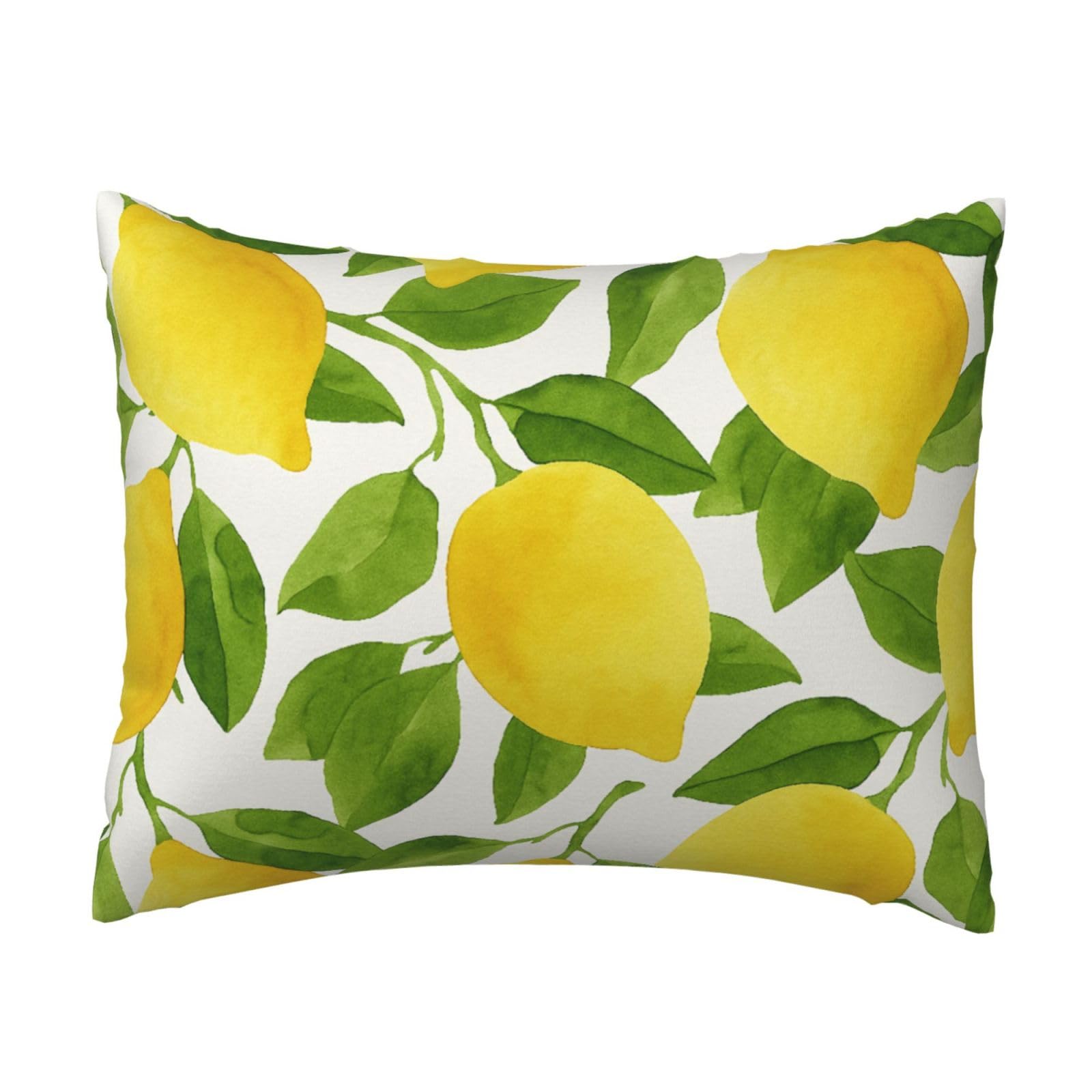 Yellow Lemon and Leaf Pillowcase Soft Plush with Zipper Decorative Pillowcovers 16x20 in