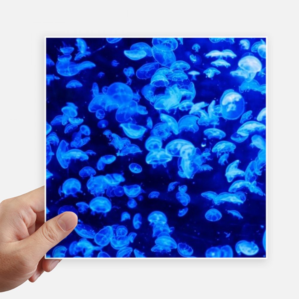 Pegatinas de medusas oceanicas de 20x20 cm adhesivos para pared maleta y moto pack de 4