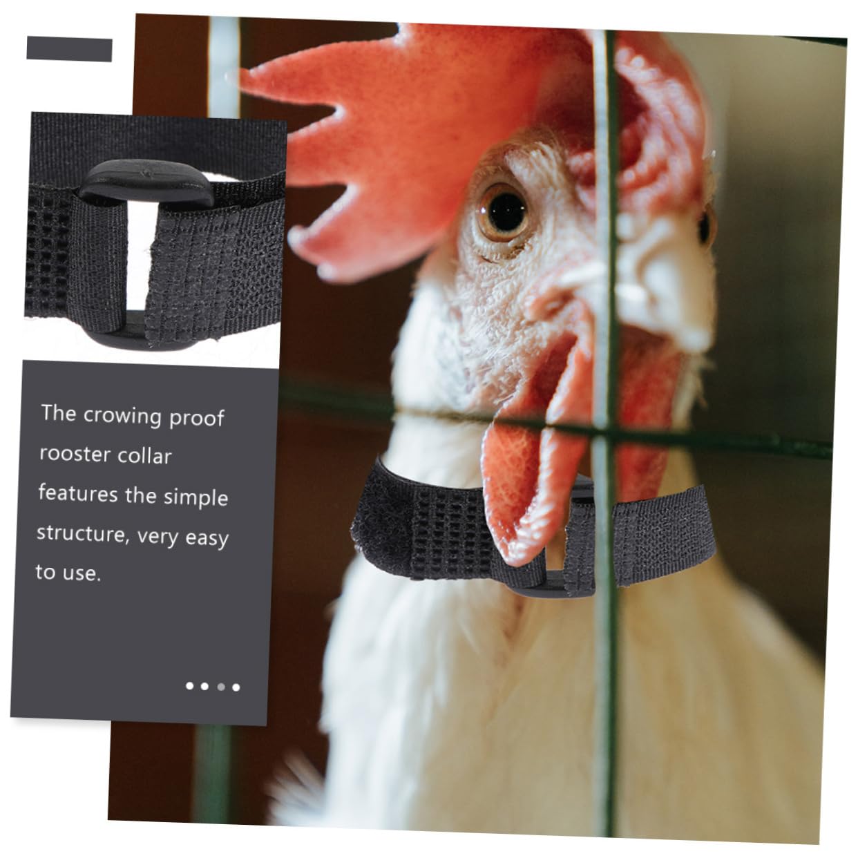 HAPINARY Rooster Crow Collar 4pcs Noise Chicken Collars Adjustable Neck Belt for Roosters