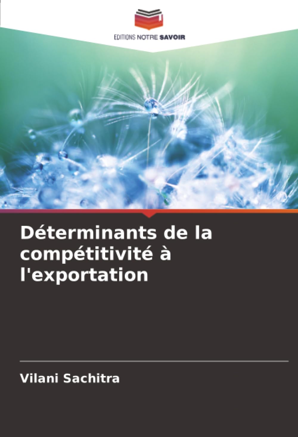 Déterminants de la compétitivité à l'exportation