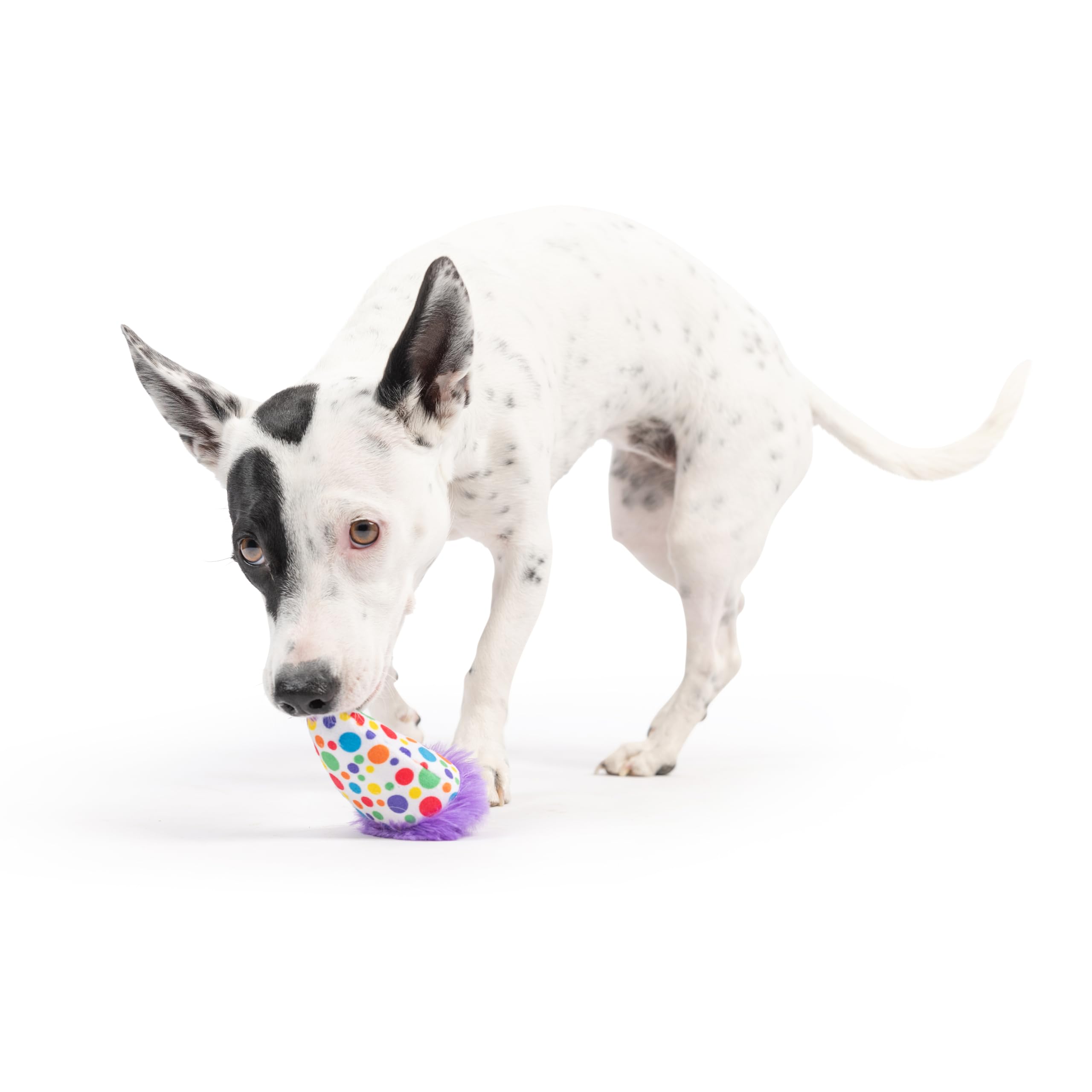 Huxley & Kent H&K Dog Tiny Tuff Polka Dot Party Hat