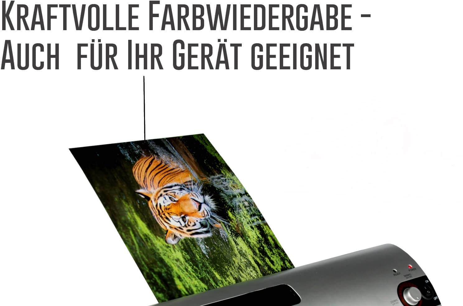 1.000 PREMIUM Qualitäts Heiß-Laminierfolien A4 (216 x 303 mm) in 2x 80 MIC, OHNE WASSERZEICHEN - Für Dokumente, Fotos oder Karten – Wasserfest, unzerreißbar in Glänzend