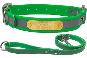 Regal Dog Products Custom Engraved Large Reflective Lime Green Personalized Dog Collar and Leash Set