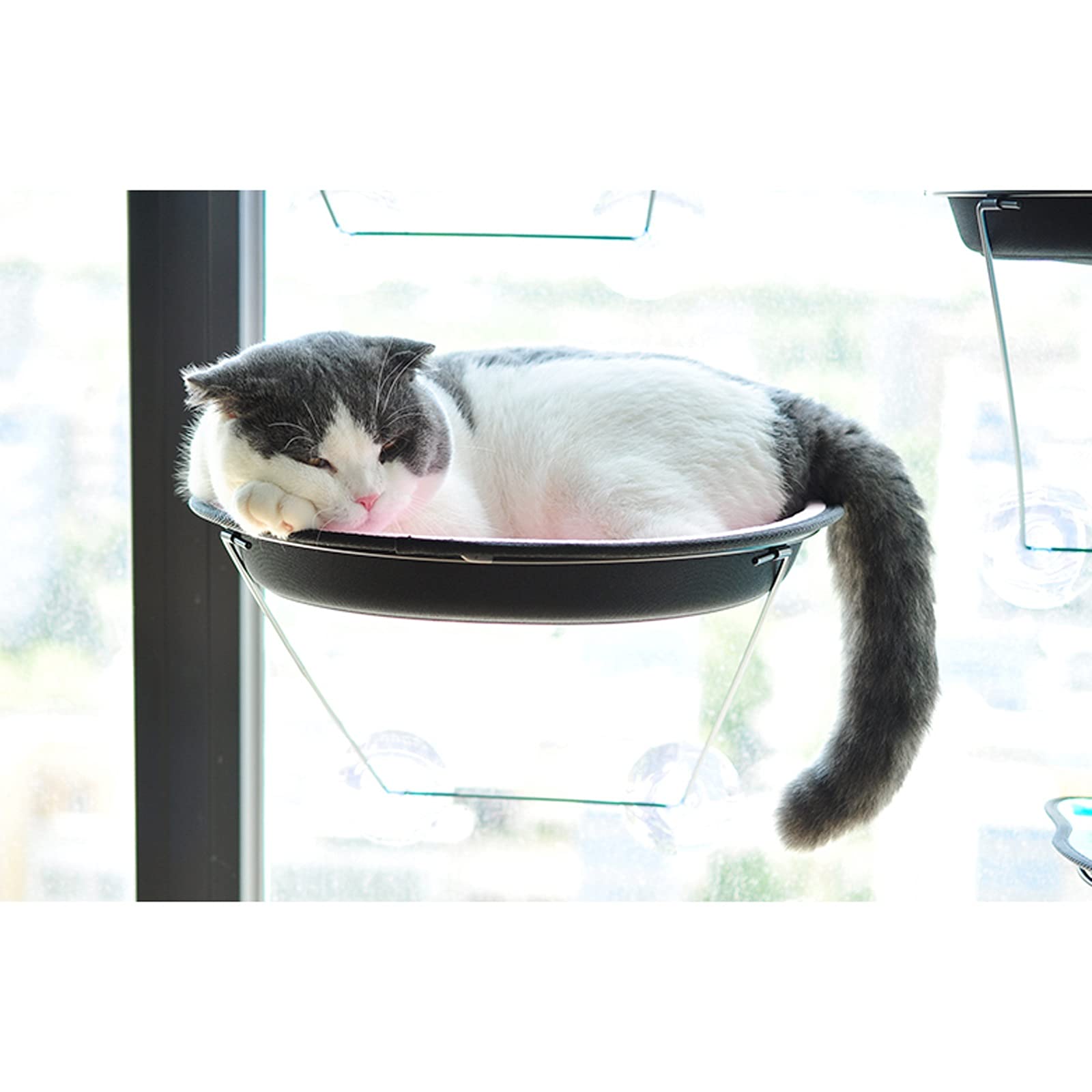 Hamac Chat/Perchoir à Chat Lit de la fenêtre de Chat, Chat hamac siège de fenêtre, Espace Chat monté sur fenêtre for Chat d'intérieur jusqu'à 38 LB Hamac pour Animaux