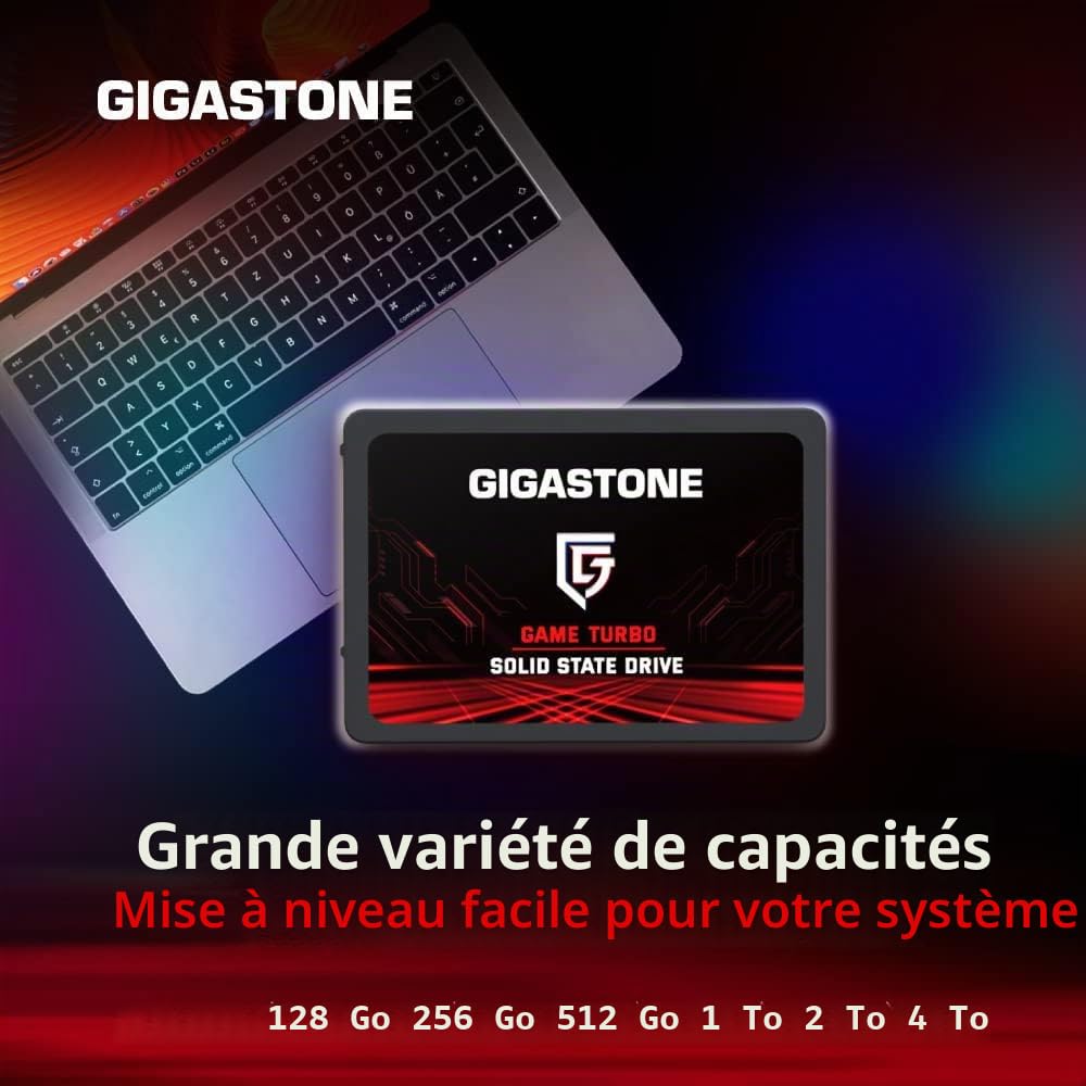 Gigastone SATA SSD internes 512Go (Lot de 2) 2.5" SATA III Interface 3D NAND Disque Dur SSD Disque de Jeu Compatible avec Ordinateurs Portables et Ordinateurs de Bureau 2.5 Pouces 550Mo/s SLC Cache