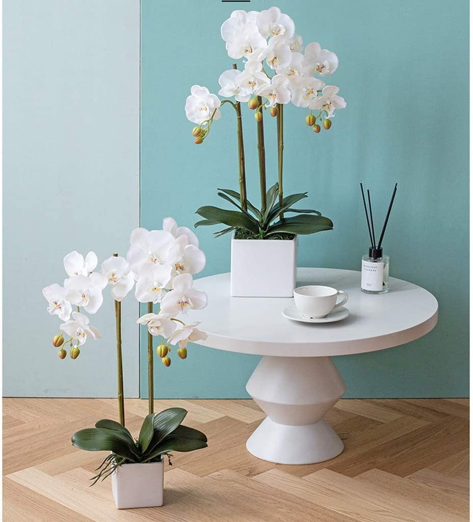 Amazon.de: PZEOB Knstliche Orchidee Knstlicher Orchideen-Stiel aus  Kunststoff kann knstliche Phalaenopsis-Blumenvase biegen. Lebendige  knstliche Blumen-Orchideen-knstliche Verzierung natrliches Aussehen