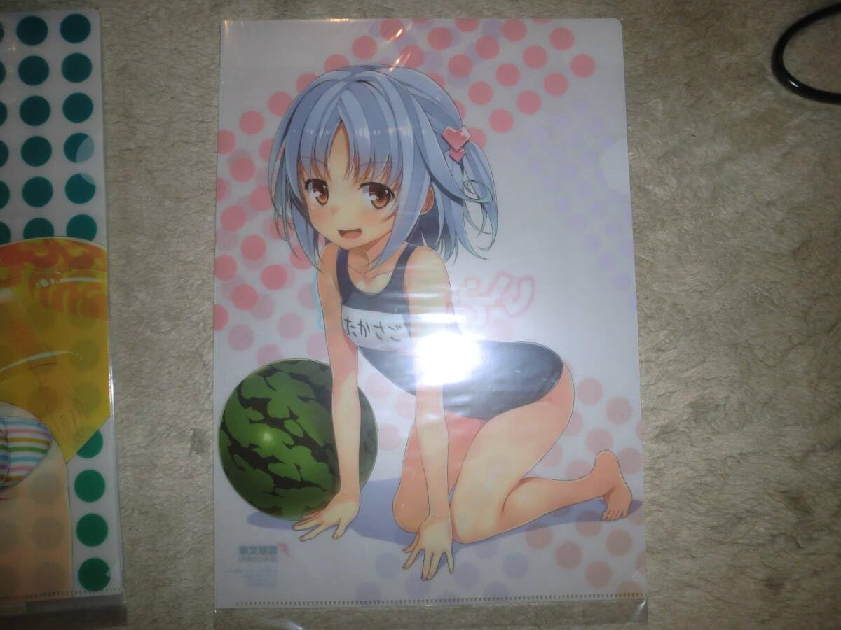 いでおろーぐ！ 憂姫はぐれ クリアファイル 全種セット Amazon.co.jp: いでおろーぐ とらのあな特典クリアファイル 5枚