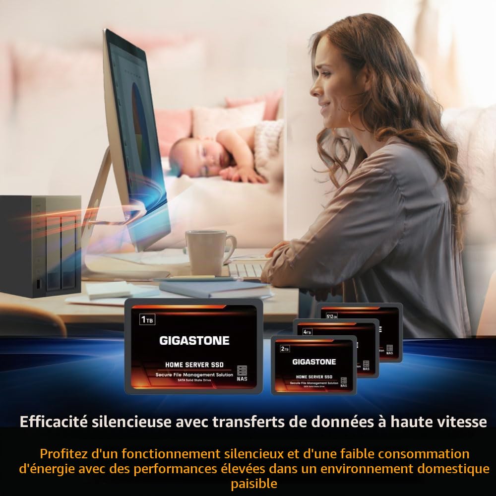 Gigastone Serveur SSD 1To NAS SSD Cache 24h/24 et 7j/7 TLC Haute Endurance Business Secure Personal Cloud Créatif Professionnel Réseau Attaché Stockage Raid 2,5" SATA Disques durs internes SSD