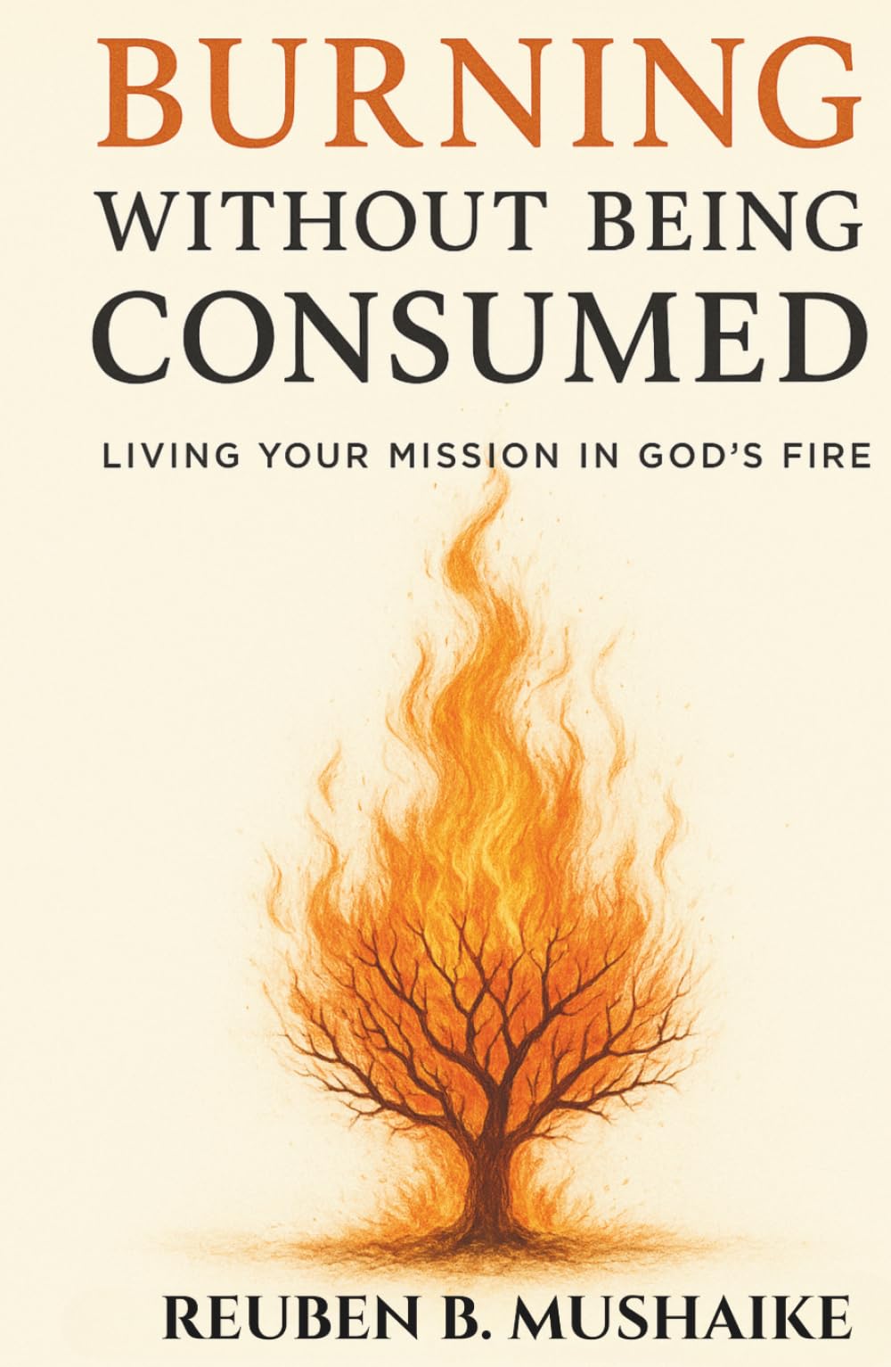 Burning Without Being Consumed: Living Your Mission in God’s Fire (The Trinity Trilogy)