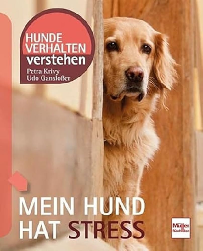 Mein Hund hat Stress