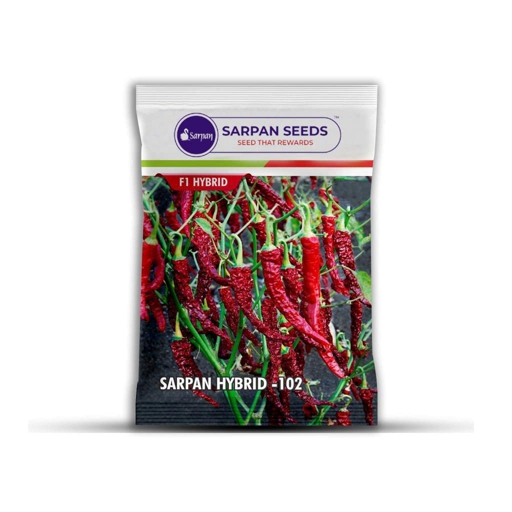 SARPAN SEEDS Sarpan 102 byadgi chilli seeds | Byadgi dabbi chilli | byadagi mirchi seeds | red chilli seeds | Mirchi seeds (50) (B09Z92P8ST) Amazon Price History, Amazon Price Tracker