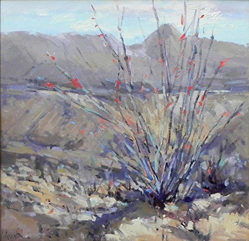 Ocotillo