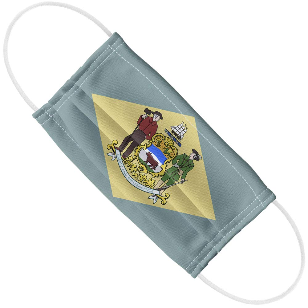 Popfunk Delaware Flag 1-Ply Reusable Face Mask Covering with Adjustable Nose Wire, Unisex