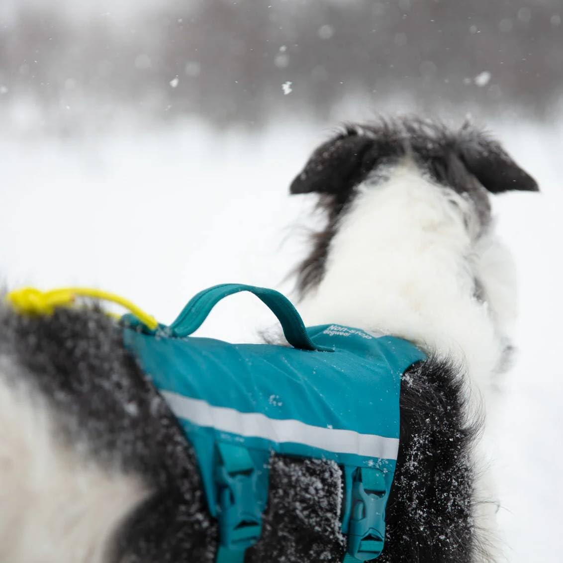 Non-Stop Dogwear Ramble Geschirr lang, Blaugrün (L)