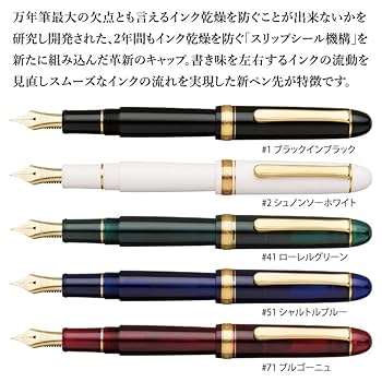 Amazon | プラチナ万年筆 万年筆 #3776 センチュリー PNB-15000