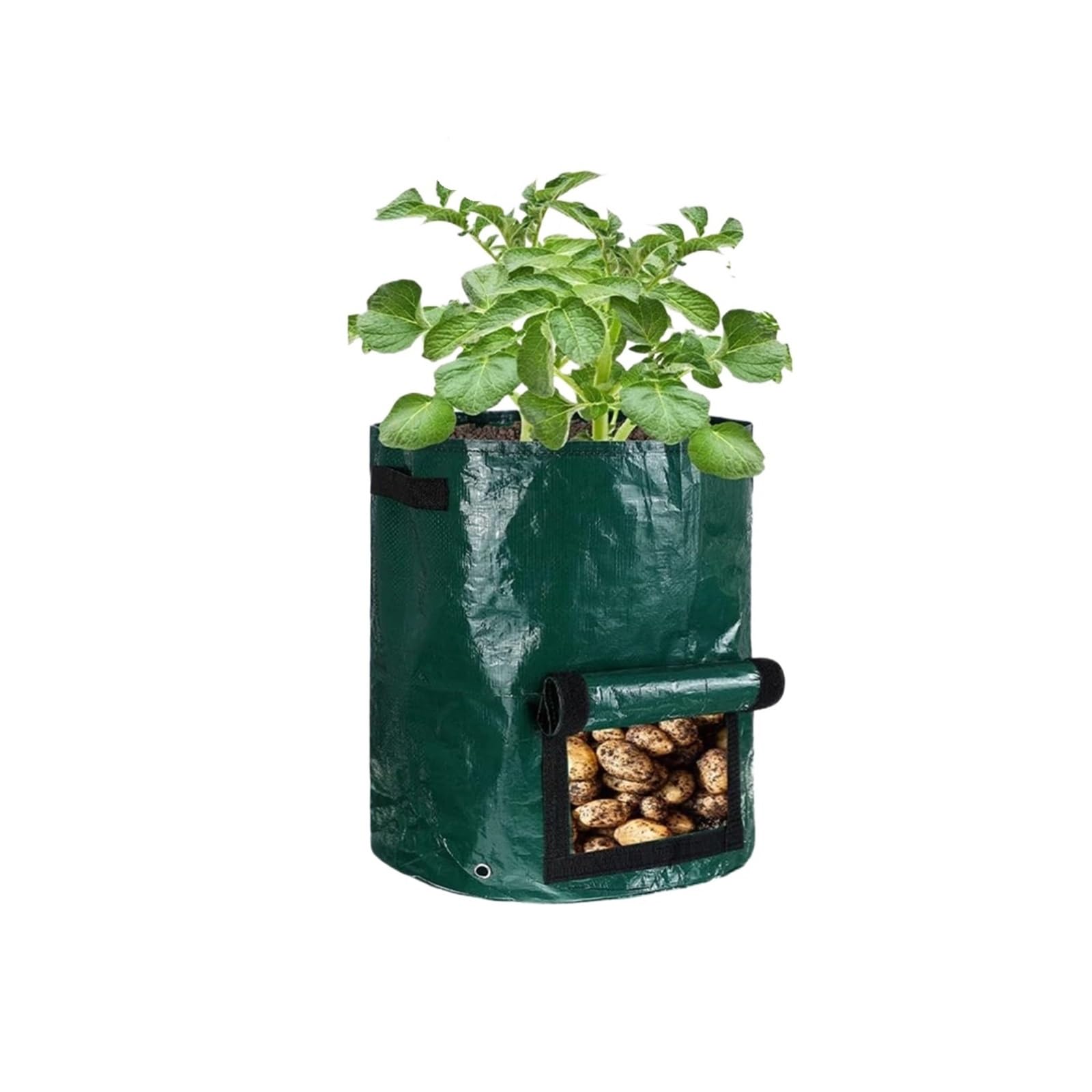 HWJFDC Potato Growing Bags Planting Bag Grow Accessories Bags For Plants Gardening Potato Vegetable Culture Garden Compost Indoor Cultivation Plant Pots(10 Gallon Green,1PCS)
