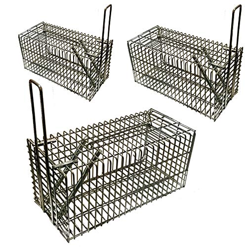 Power-Preise24 proheim Lebendfalle 3er Set 21 cm kompakte Rattenfalle mit 1 Eingang Kleintierfalle aus verzinktem Draht verlässlich, witterungsbeständig und stabil Drahtfalle für Mäuse und Ratten
