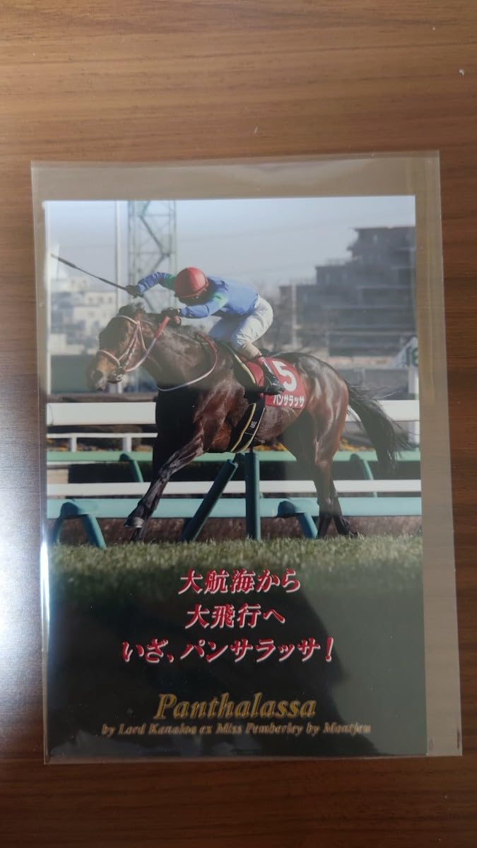 Amazon.co.jp: 広尾TC所属馬 ポストカード : 文房具・オフィス用品