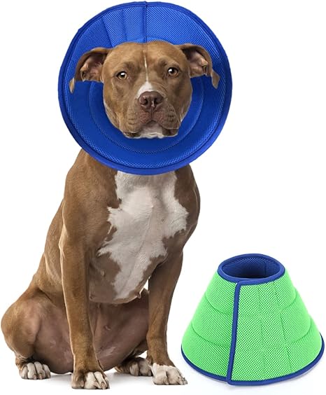 dog soft cone amazon