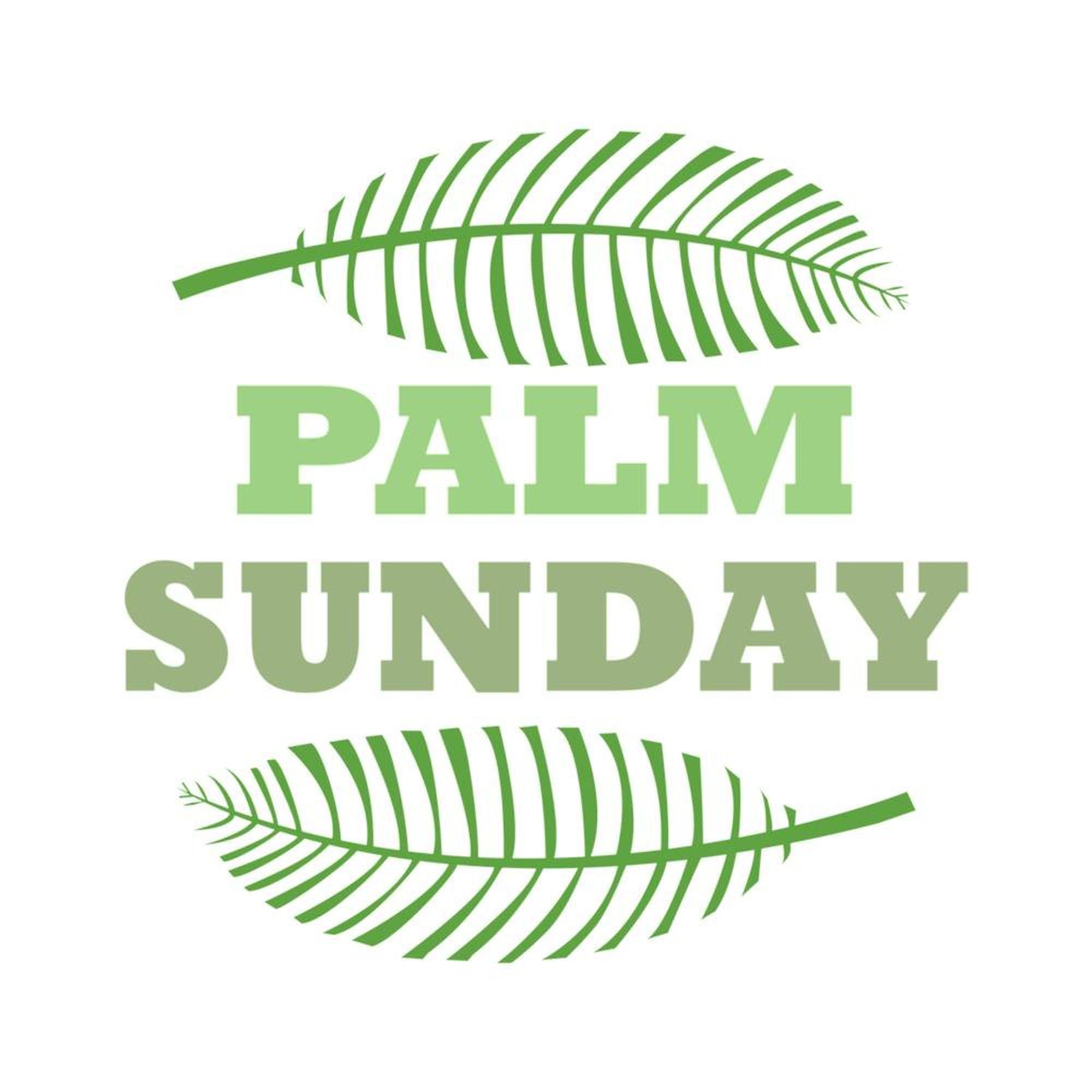 CafePress Palm Sunday Twin Duvet Cover, Printed Comforter Cover, Unique Bedding,